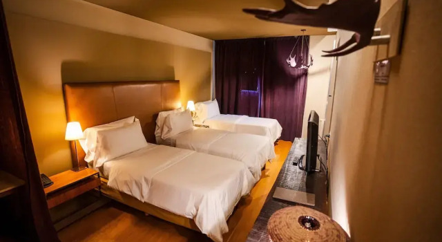 Трёхместный номер Concept Esplendor by Wyndham El Calafate