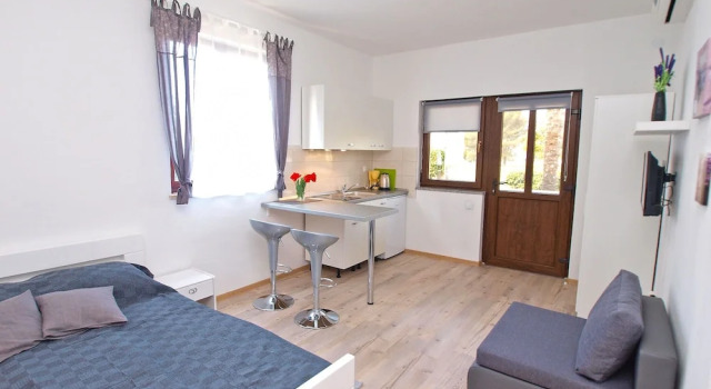 Студия Standard Apartment 589