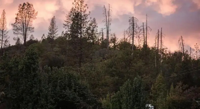 Люкс с красивым видом из окна AutoCamp Yosemite