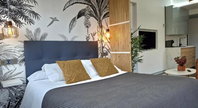 Студия Standard Plasencia Plaza Mayor Luxury