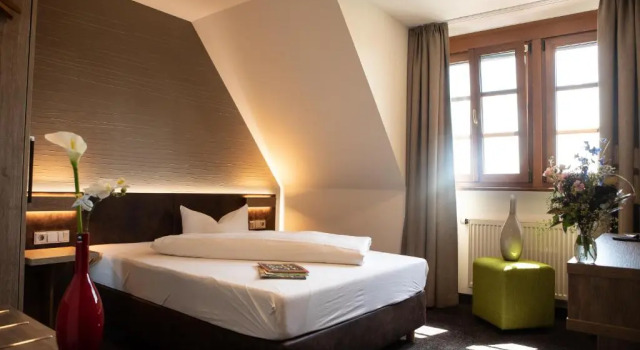 Habitación Estándar Landhotel Geiselwind