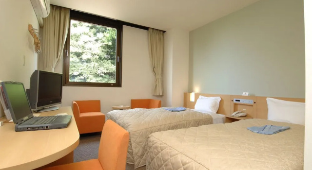 Двухместный номер Standard Hamada New Castle Hotel