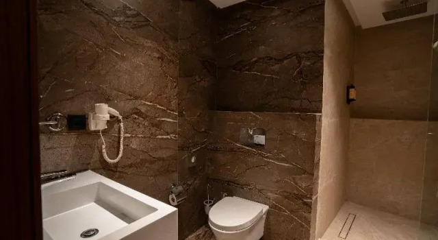 Двухместный номер Deluxe с балконом BRĂAT Hôtel
