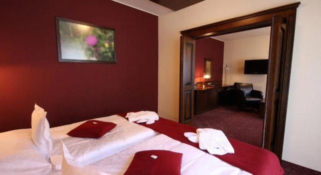 Люкс Premium APLEND Wellness Hotel Borovica