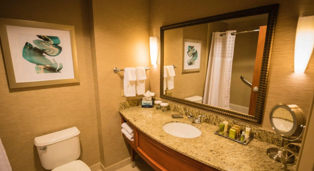 Четырёхместный номер Standard Hilton St. Petersburg Carillon Park