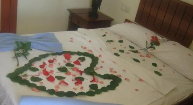 Номер Standard Anko Beach Resort Hotel