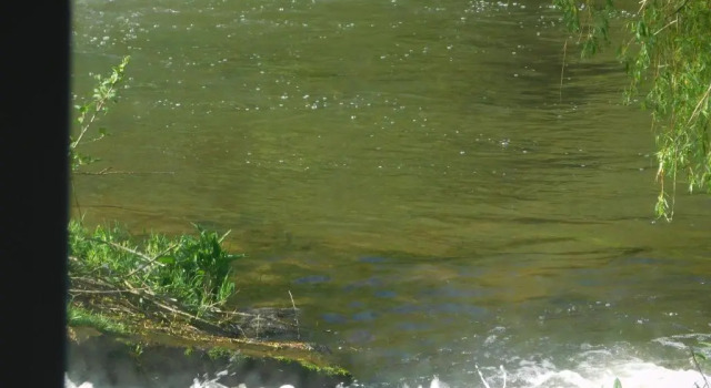 Коттедж c 1 комнатой Le Moulin LEveque