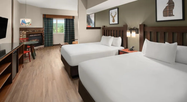 Номер Grand Great Wolf Lodge Grand Mound