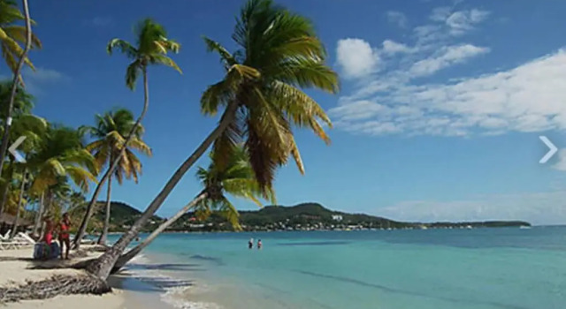 Sainte Anne, Très joli T2 refait à neuf