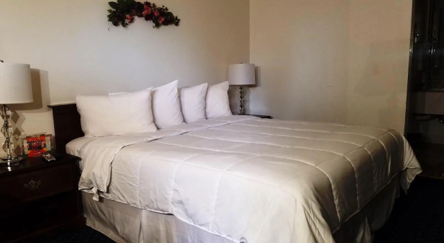 Номер Standard Stanford Motor Inn