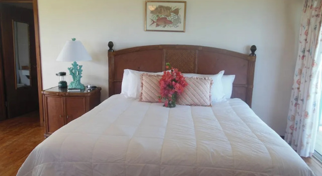 Номер Economy с балконом Winter Haven Inn