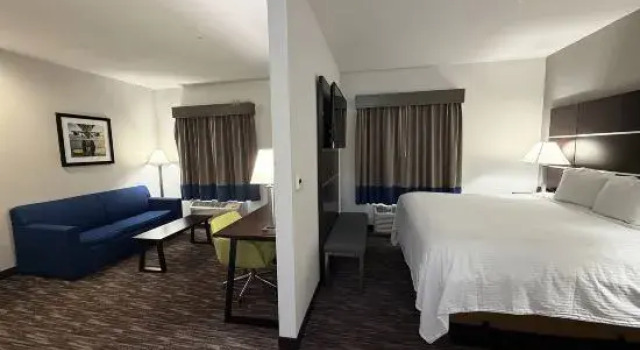 Люкс Business Atrium Hotel and Suites DFW Airport