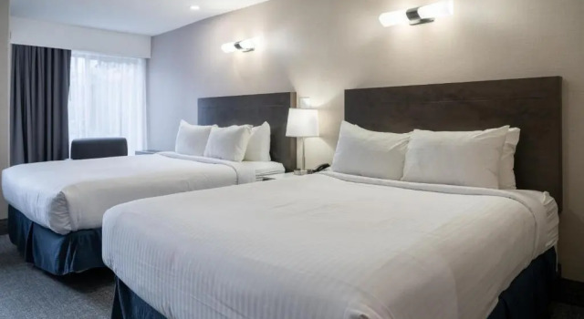 Standard cvadruplă cameră Red Carpet Inn