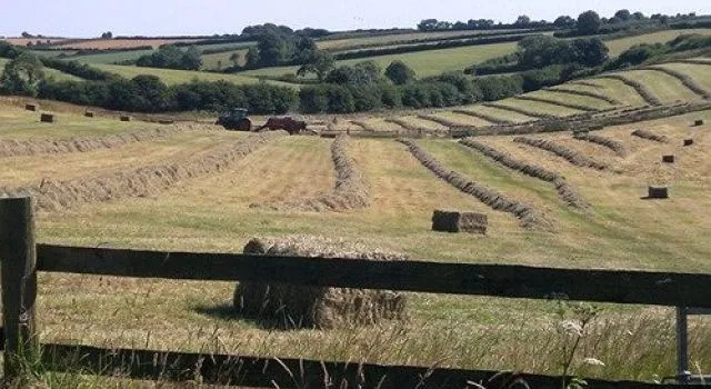 Hill Farm B&B