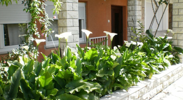 Апартаменты Standard Apartments Marija