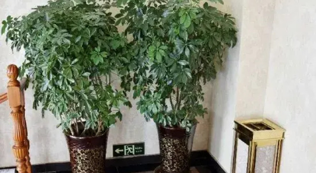 YAYUR Hotel, Book Hotel Hotels in Xinjiang with Parking, Parking