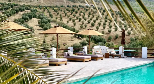 Двухместный номер Deluxe Lemon Tree Retreat at El Amparo