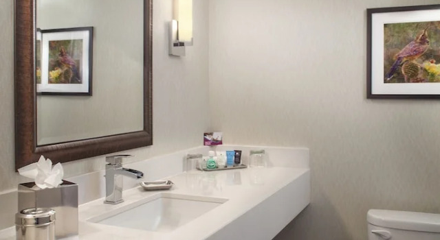 Четырёхместный номер Premium Crowne Plaza Phoenix Airport - PHX by IHG
