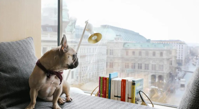 Двухместный номер Deluxe The Guesthouse Vienna