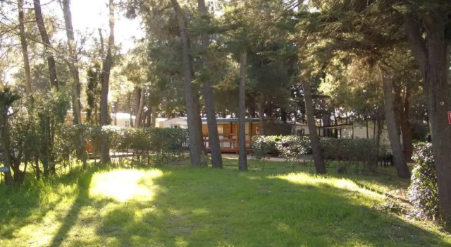 Номер Standard Camping Le Sainte Marie