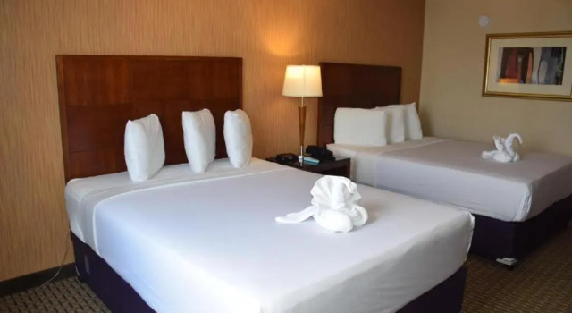 Четырёхместный номер Standard Edison Hotel