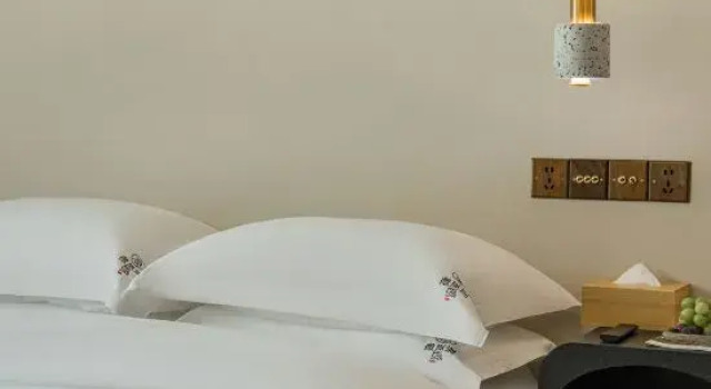 Люкс Yunshang Grassland Anji Weixuan Homestay