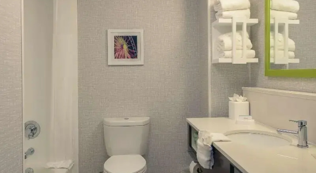 Двухместный номер Standard Hampton Inn & Suites Atlanta-Six Flags