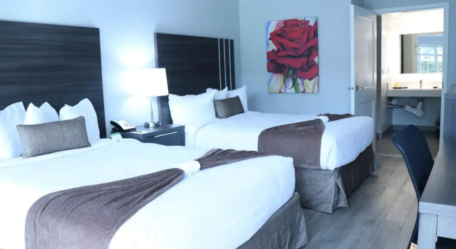 Четырёхместный номер Standard Palm Garden Hotel