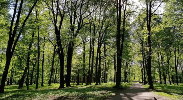 Апартаменты c 1 комнатой Midsummer House, cozy and comfortable apartments in Riga