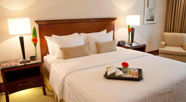 Двухместный номер Deluxe Regal Pacific Puerto Madero