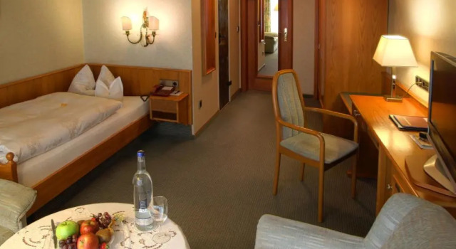 Одноместный номер Standard Vis á Vis Parkhotel