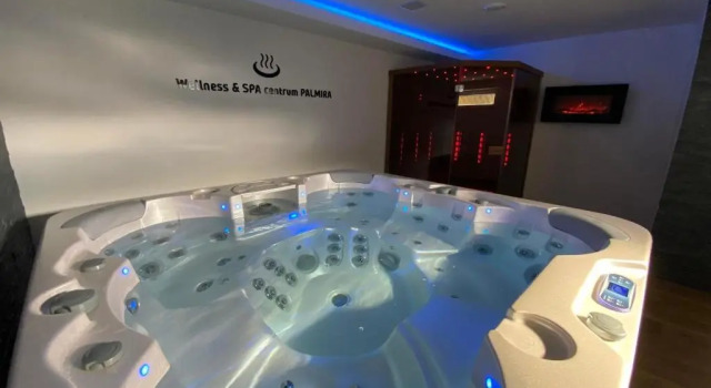 Двухместный номер Standard Hotel & SPA centrum PALMIRA