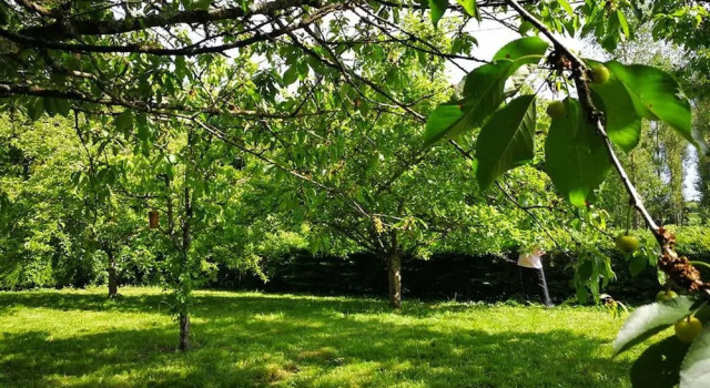 Les Gîtes de Pique les Muses, Reservar Hotel Fondettes Indre et Loire
