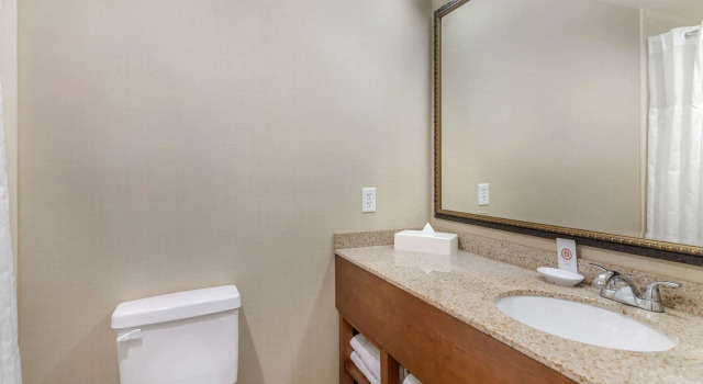 Двухместный люкс Comfort Inn & Suites Dover-Portsmouth