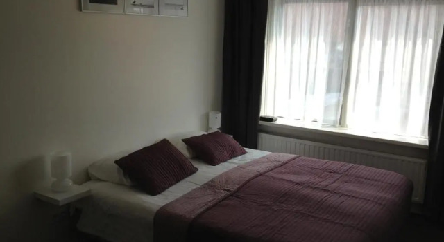 Habitación doble Confort Het Verschil