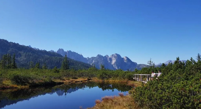 Апартаменты Kalvarienberg Appartement Gosau