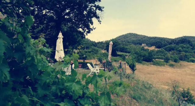 I Castagnini