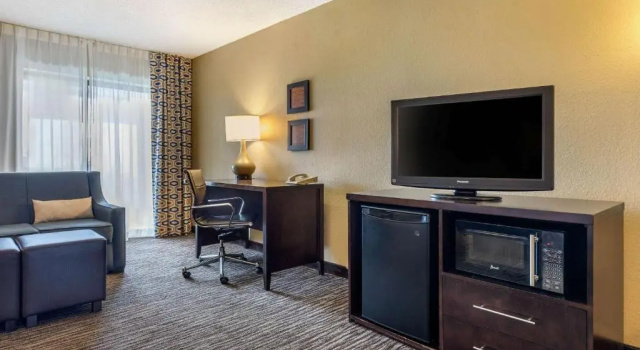 Люкс c 1 комнатой Suburban Studios Arlington Heights Elk Grove