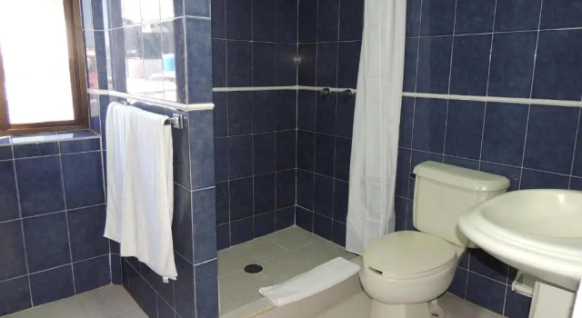 Люкс Hotel Casa Tequis San Luis Potosi