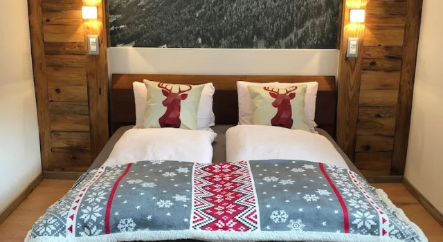 Двухместный номер Economy Mountain Lodge Sedrun