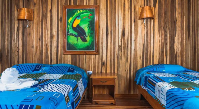 Номер Standard El Sueño B&B