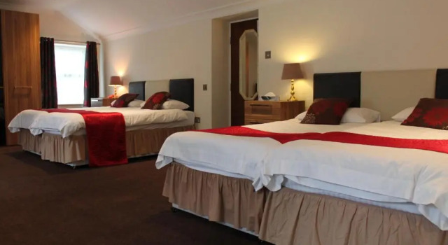 Семейный номер Standard Ascot Hotel