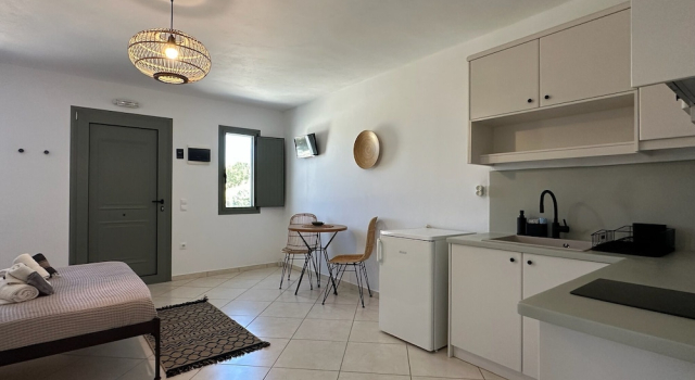 Студия Ammos Andros Accommodation