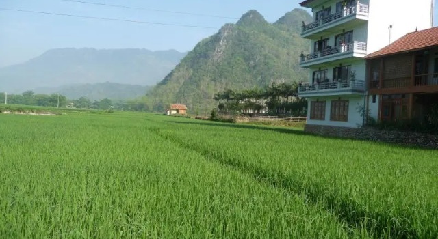 Номер Standard Mai Chau Valley View Hotel