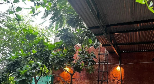 Номер Deluxe Bhoora House