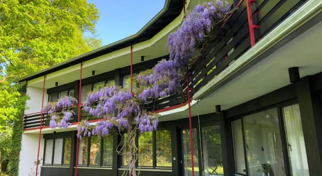 Апартаменты Villa am Hülser Berg nähe Düsseldorf