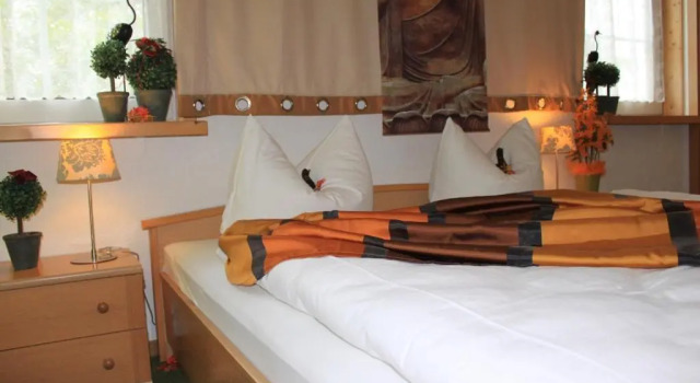Двухместный номер Standard Hotel Grüner Baum