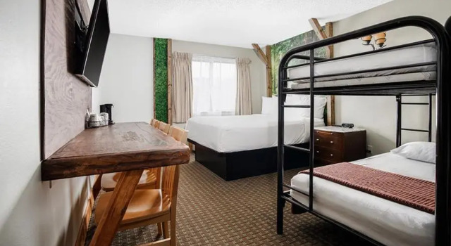 Люкс Natura Treescape Resort