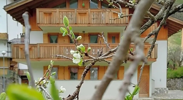 B&B Il Tulipano, Забронировать Отель «постель и завтрак» Отели Сан-Пьетро-ди-Кадоре с парковкой, Парковка