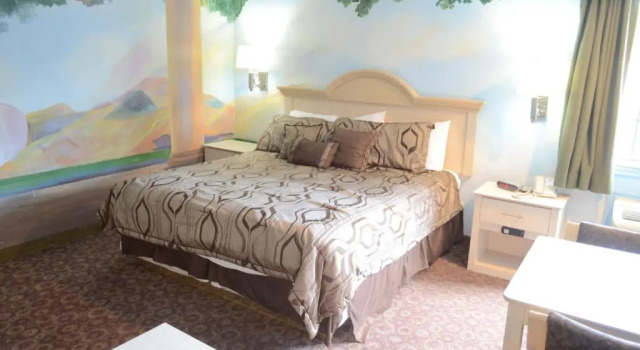 Люкс Deluxe Scottish Inns & Suites at NRG Park
